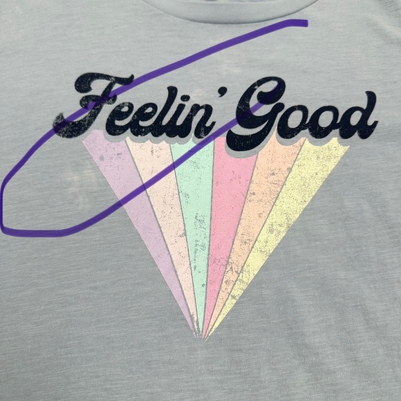 WILDFOX Tshirt "Feelin' Good" Graphic Tee XXL Womens Soft Cotton Short Slv Blue - Picture 7 of 12